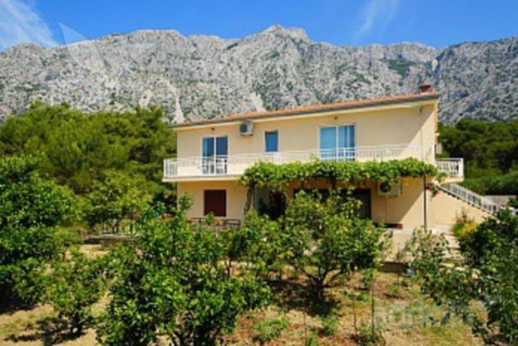 Apartament 4